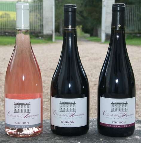 Chinon Clos de la Hégronnière
